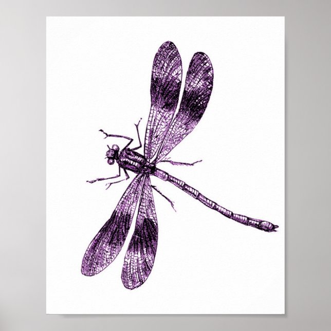 Affiche Dragonfly vintage - Rose (Devant)