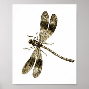 Affiche Dragonfly vintage - Sepia