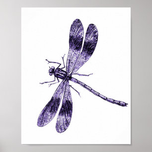 Affiche Dragonfly vintage - Violet