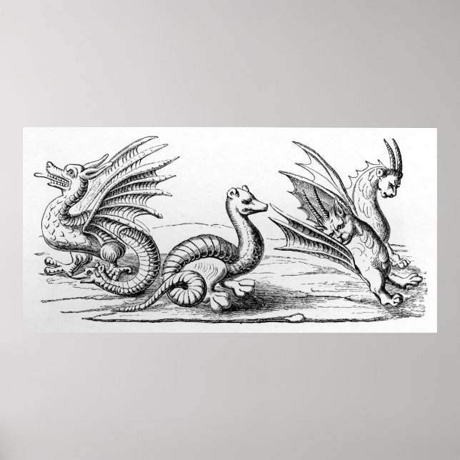 Affiche Dragons (Devant)