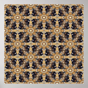 Affiche Dragons......