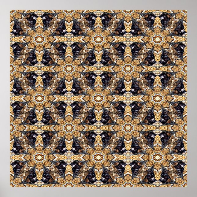 Affiche Dragons...... (Devant)