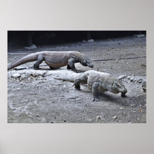 Affiche Dragons de patrouille