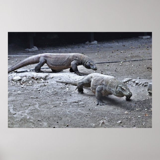 Affiche Dragons de patrouille (Devant)