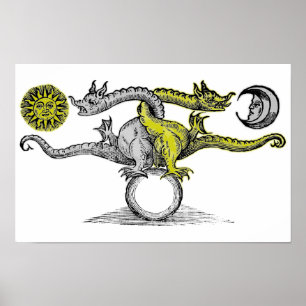 Affiche Dragons d'or et d'argent