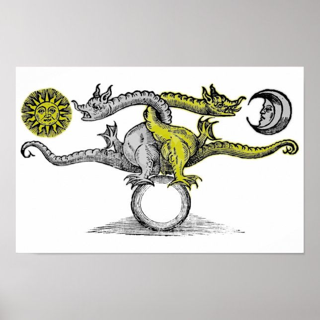 Affiche Dragons d'or et d'argent (Devant)