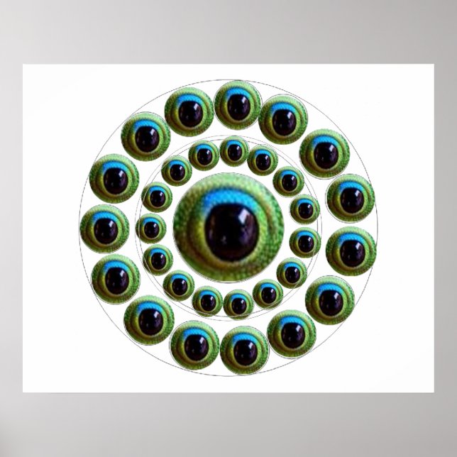 Affiche Dragon's Eye - Goodluck Chinese Collection (Devant)