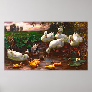 Affiche Drake vintage avec canards blancs et colliers jaun