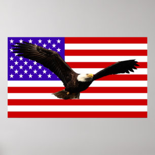 Affiche Drapeau américain Bald Eagle USA