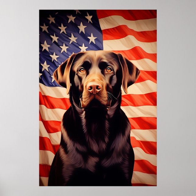 Affiche Drapeau américain Chocolat Labrador (Devant)