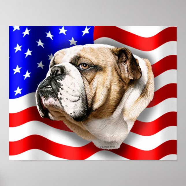 Affiche Drapeau américain du Patriote Bulldog (Devant)