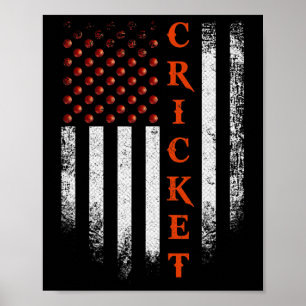 Affiche Drapeau américain vintage de joueur de cricket pat