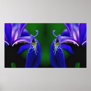 Affiche Drapeau bleu Iris Fleur Pétale Miroir Abstrait