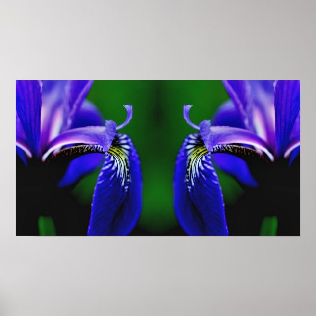 Affiche Drapeau bleu Iris Fleur Pétale Miroir Abstrait (Devant)