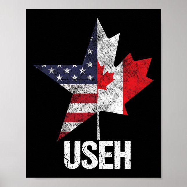 Affiche Drapeau canadien américain Mi-Cadien Mi-Américain  (Devant)