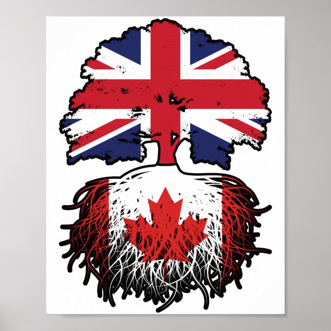 Affiche drapeau canadien britannique des racines de l'arbr (Devant)