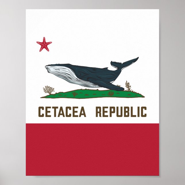 Affiche Drapeau de baleines de la République de Cétacée (Devant)