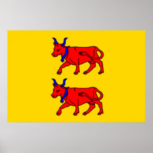 Affiche Drapeau de Béarn, France