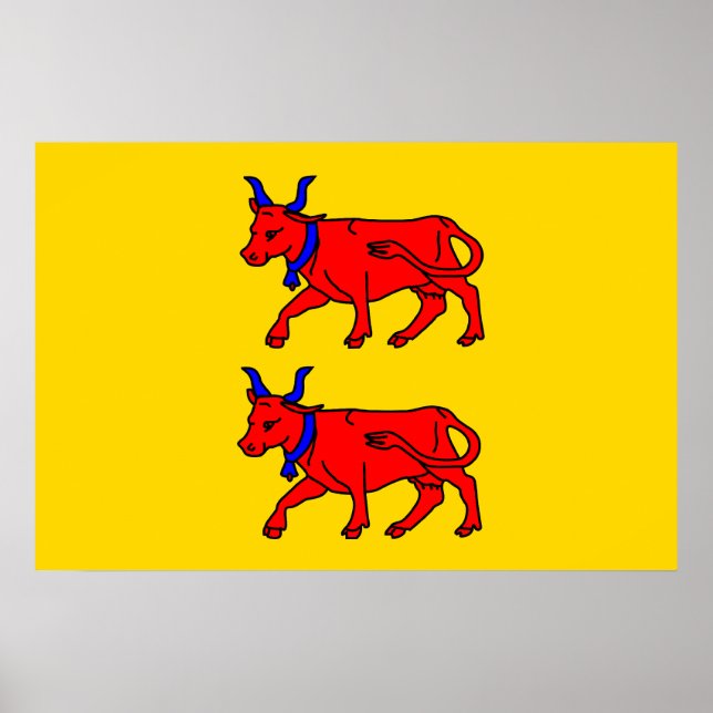 Affiche Drapeau de Béarn, France (Devant)