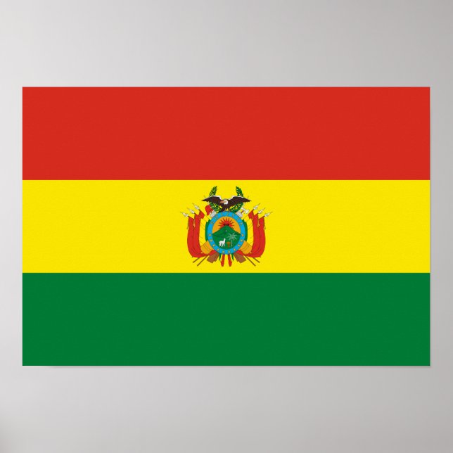 Affiche Drapeau de Bolivie patriotique (Devant)