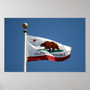 Affiche drapeau de Californie