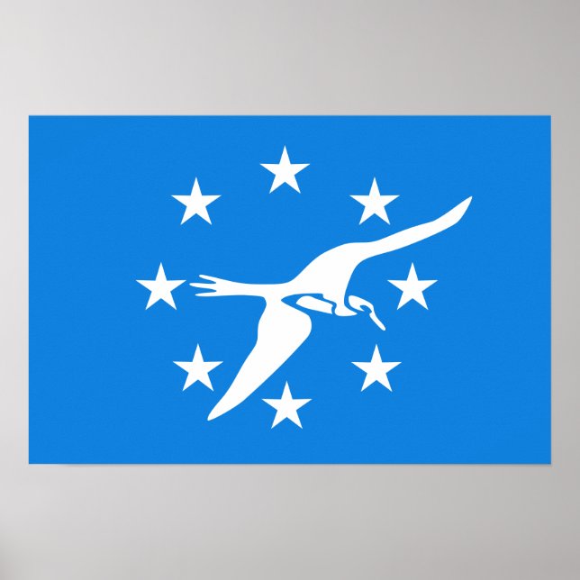 Affiche Drapeau de Corpus Christi (Devant)