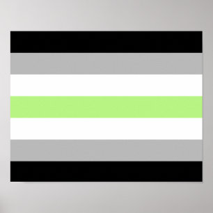 Affiche Drapeau de fierté agender