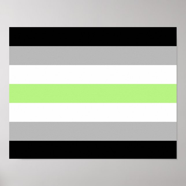 Affiche Drapeau de fierté agender (Devant)