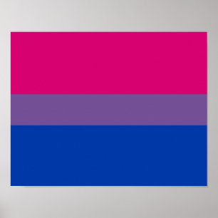 Affiche Drapeau de fierté bisexuel
