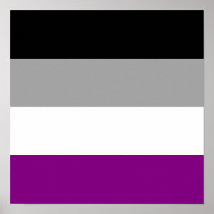 Affiche Drapeau de fierté d'Asexuality