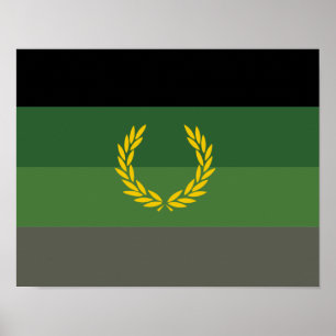 Affiche Drapeau de fierté de l'uniforme militaire