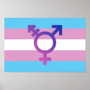 Affiche Drapeau de fierté de transport