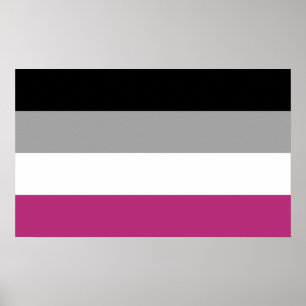 Affiche Drapeau de fierté gynéphile