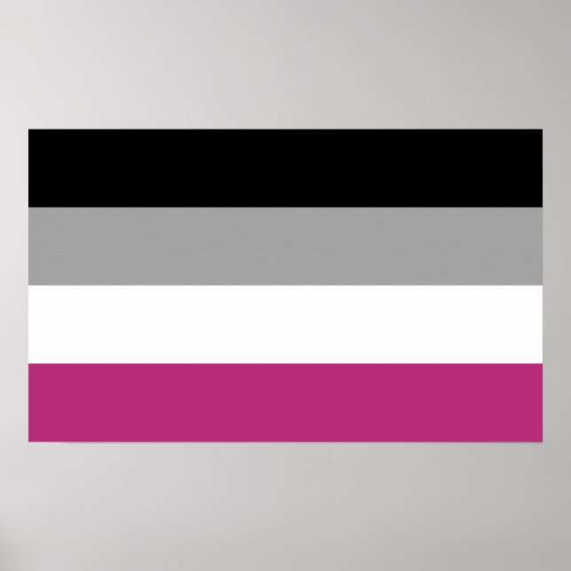 Affiche Drapeau de fierté gynéphile (Devant)