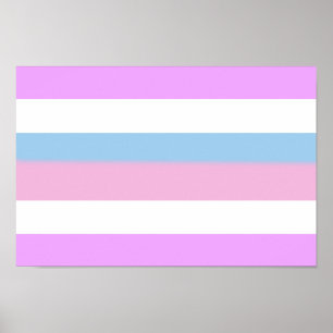 Affiche Drapeau de fierté intersexe