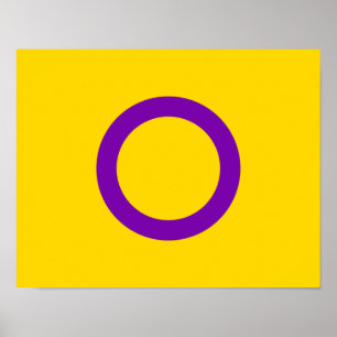 Affiche Drapeau de fierté intersexe