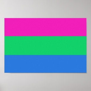 Affiche Drapeau de fierté polysexuelle
