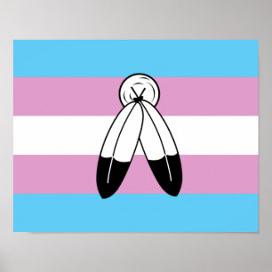 Affiche Drapeau de fierté trans bispirituel