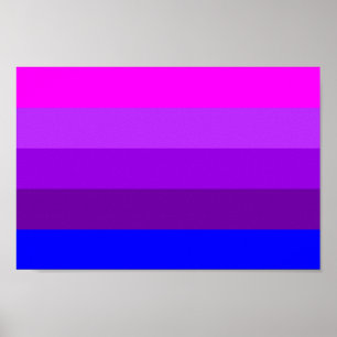 Affiche Drapeau de fierté transgenre alternatif