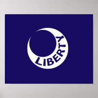 Drapeau de Fort Moultrie, Caroline du Sud