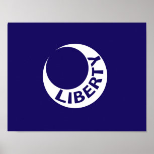 Affiche Drapeau de Fort Moultrie, Caroline du Sud