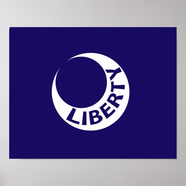 Affiche Drapeau de Fort Moultrie, Caroline du Sud (Devant)