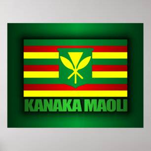 Affiche Drapeau de Kanaka Maoli