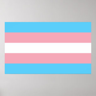 Affiche Drapeau de la fierté transgenre - LGBT Rainbow