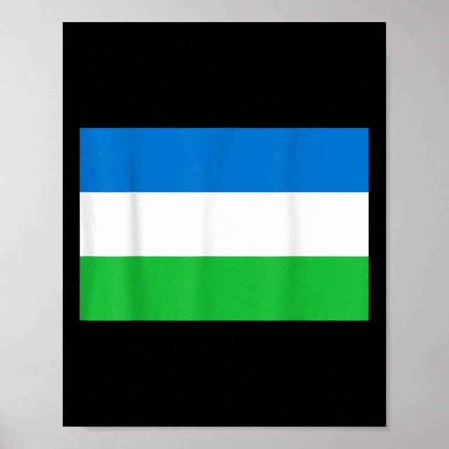 Affiche Drapeau De La République De Molossia (Devant)