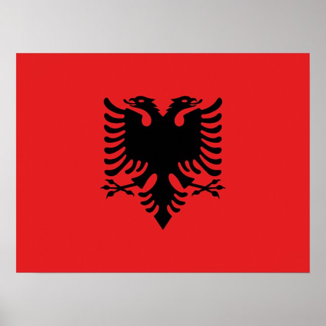 Affiche Drapeau de l'Albanie (Devant)