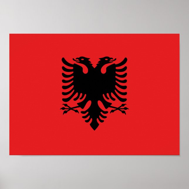 Affiche Drapeau de l'Albanie - Flamuri Kombëtar - Drapeau  (Devant)