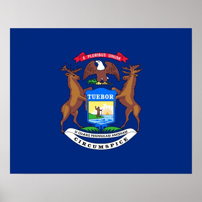 Affiche Drapeau de l'État du Michigan (Devant)