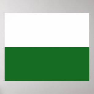 Affiche Drapeau de Saxe (État allemand)