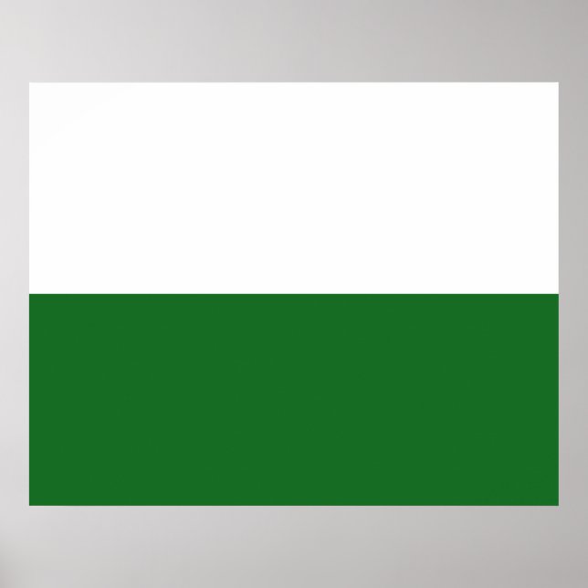 Affiche Drapeau de Saxe (État allemand) (Devant)